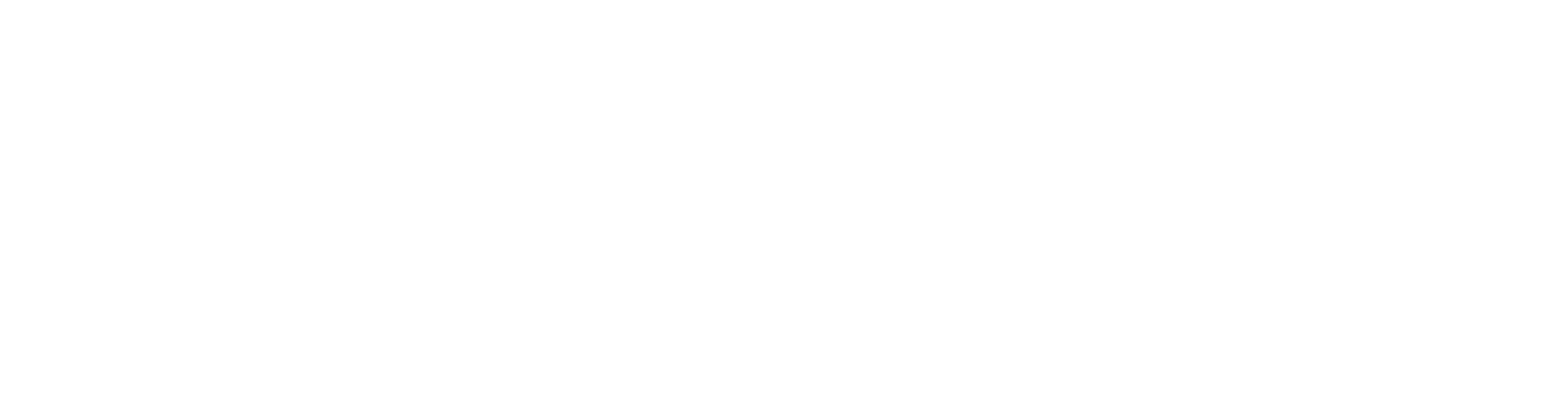 PayZ